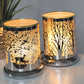 Electric wax melters